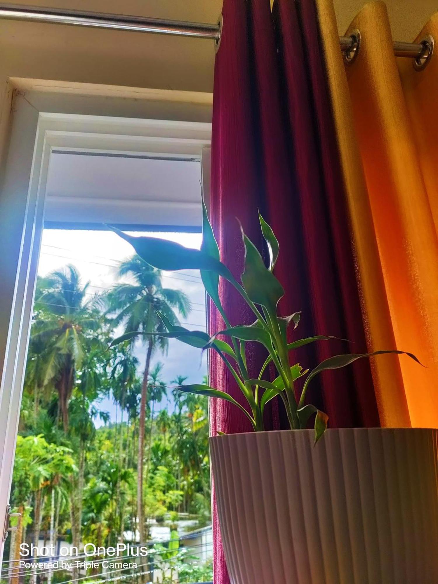 Hilton Garden Homestay Port Blair Extérieur photo